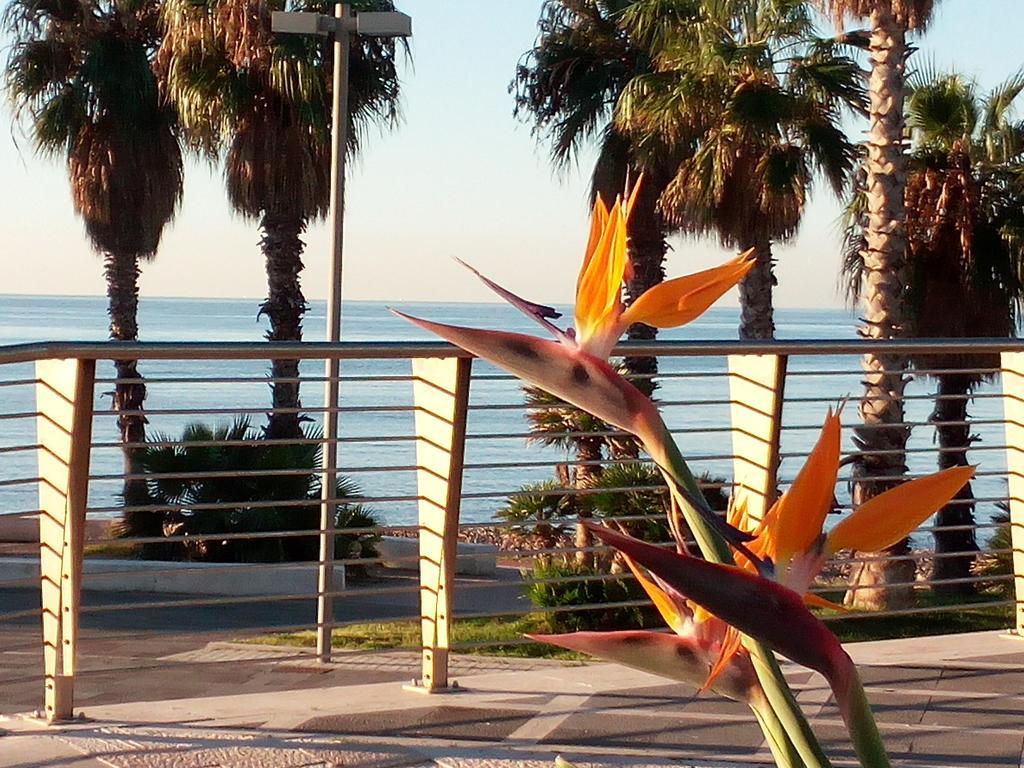 Residence Stendhal Guest House Civitavecchia Buitenkant foto